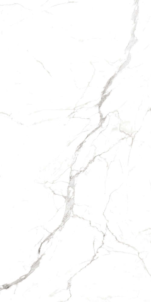 Regal Carrara White   (800x1600)