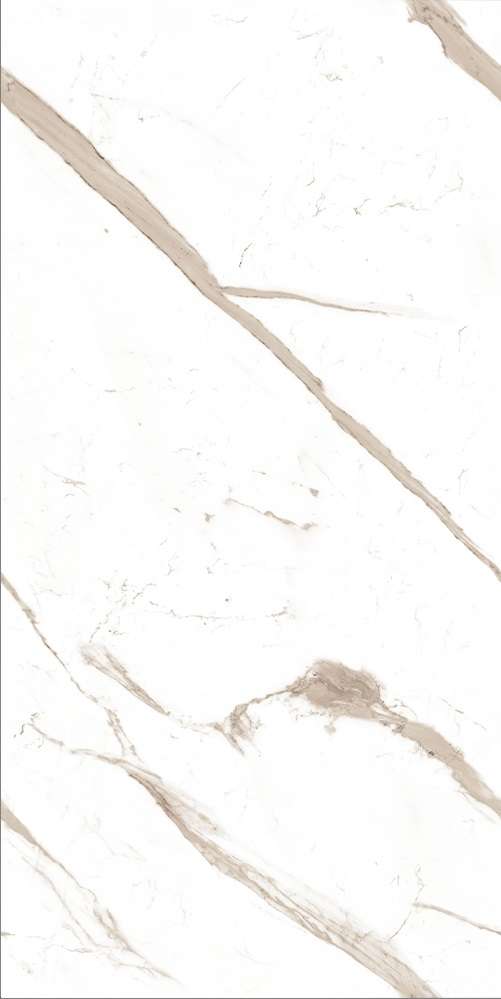  AVS Calacatta Marble