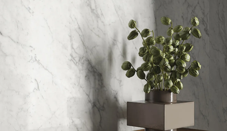 ��������� Gardenia Orchidea Bon Ton