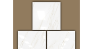  ()