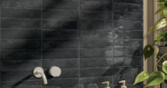  ()
