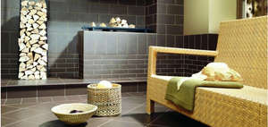 Клинкер Paradyz Natural Brown