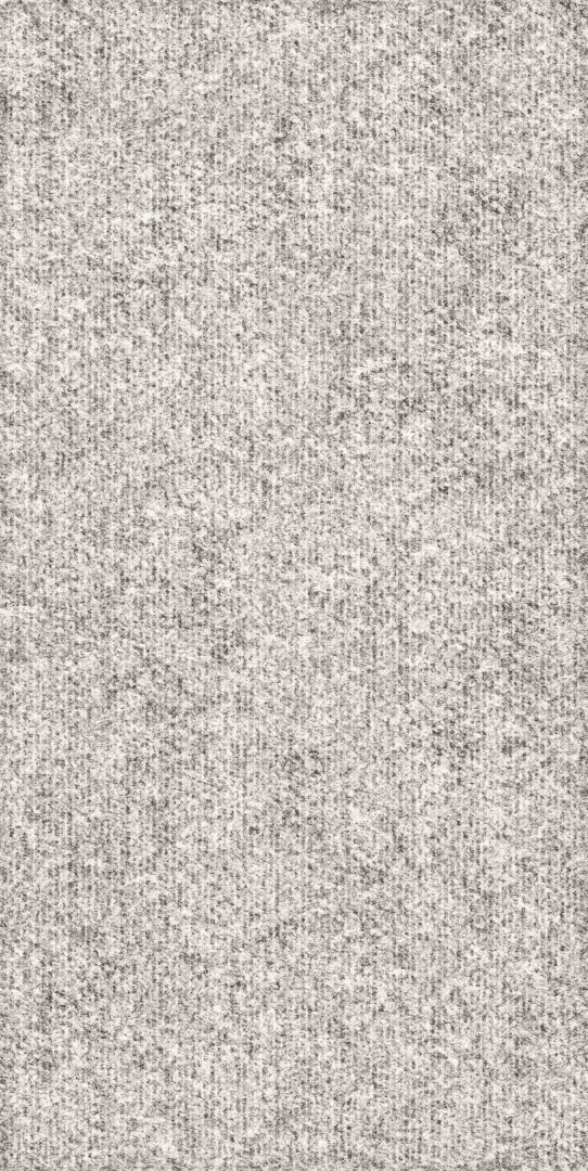 Rugged 60x120 (600x1200)