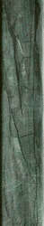 Mr Green 5x25 (50x250)