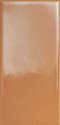 Caramel Glossy (62x125)