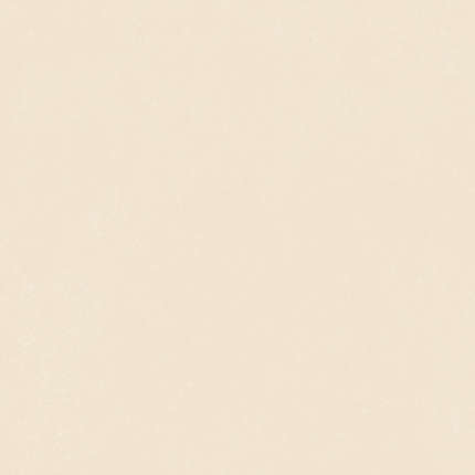 41Zero42 Nok Ivory 120x120