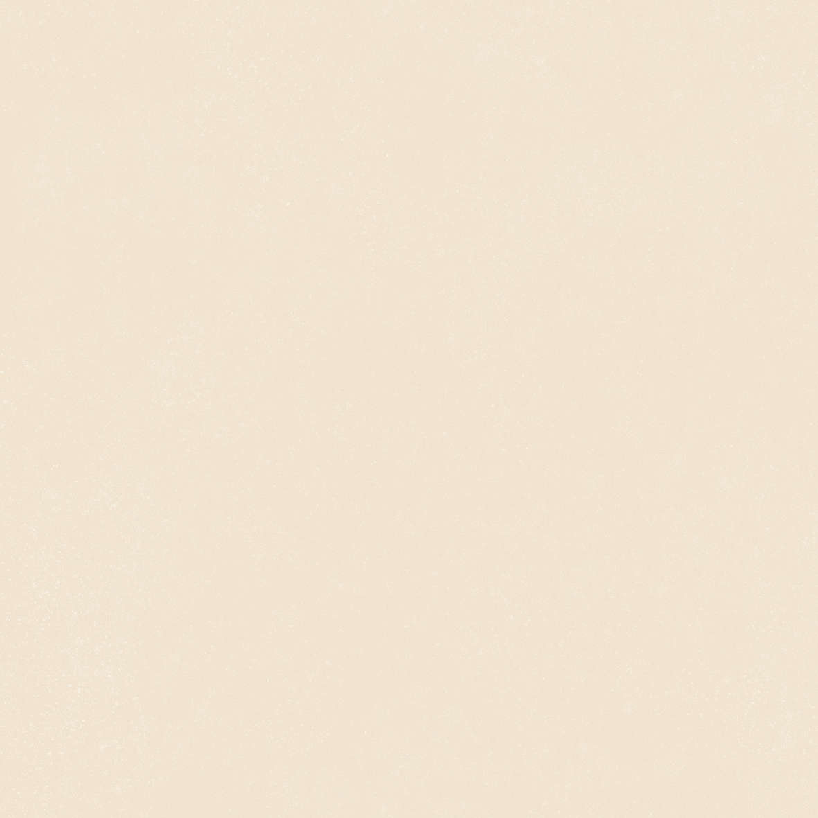Ivory 120x120 (1200x1200)