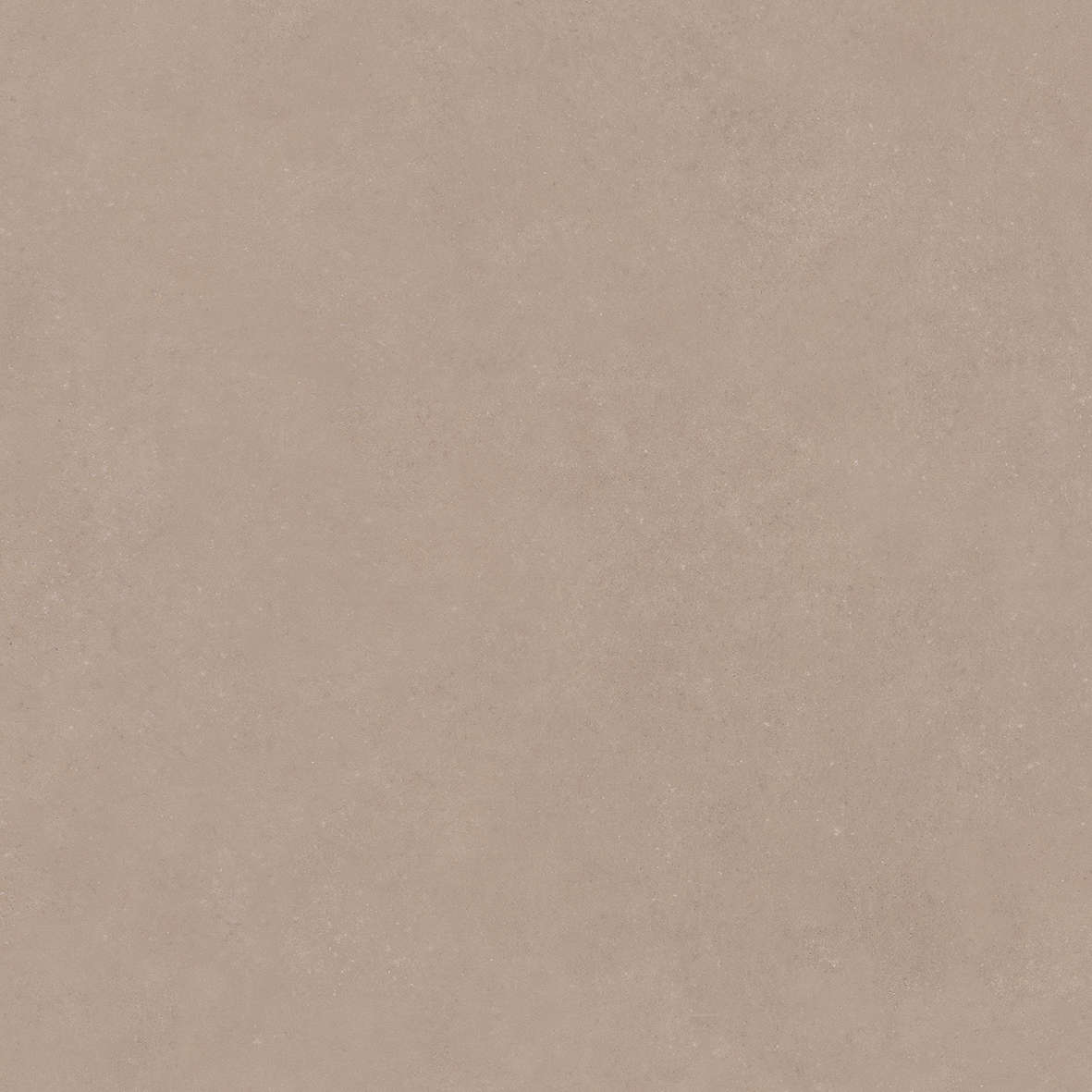 Taupe 120x120 (1200x1200)