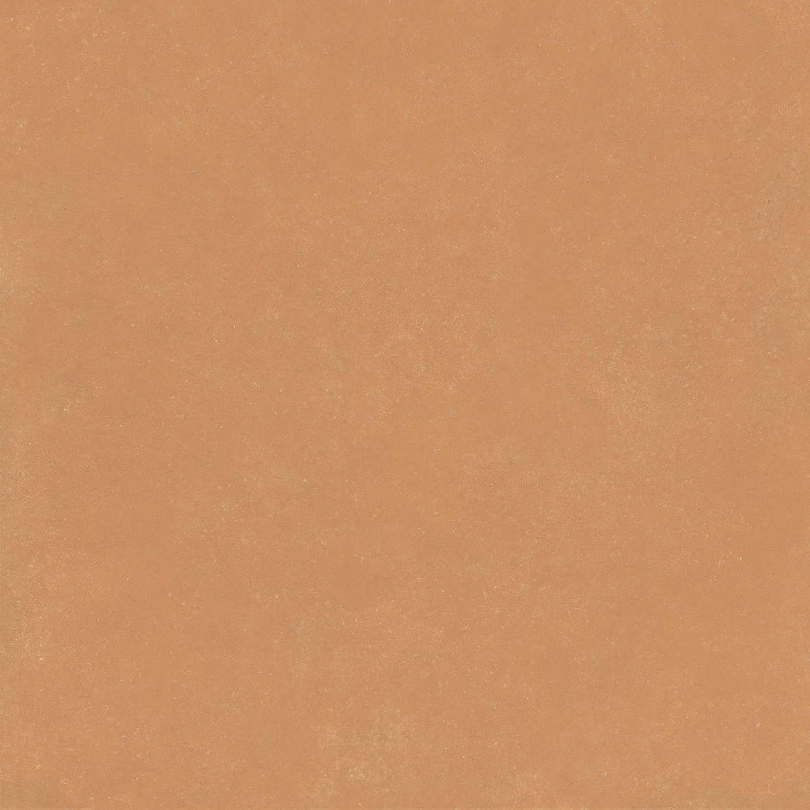 Terra 120x120 (1200x1200)