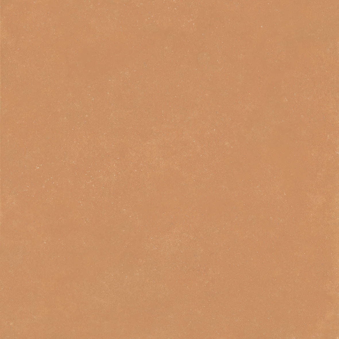 41Zero42 Nok Terra 120x120 -6