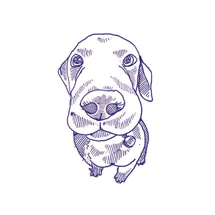 41Zero42 Stories Eddie Lux 10x10