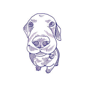 Eddie Lux 10x10 (100x100)