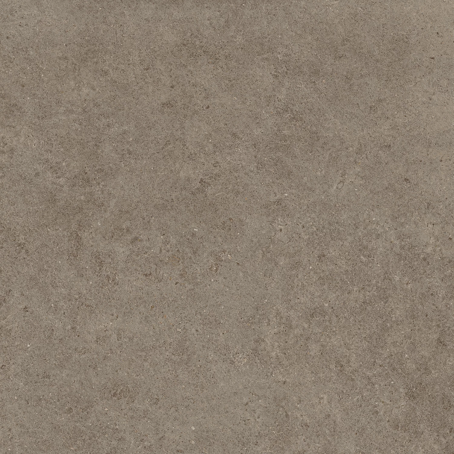 Taupe  120x120 (1200x1200)
