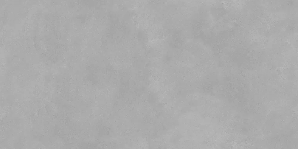 AVS Analiya Grey  60x120 -3