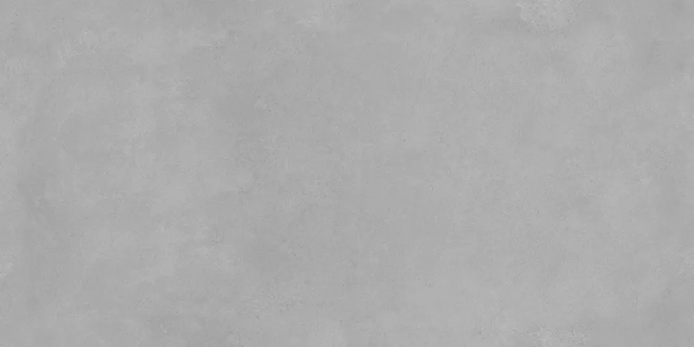 AVS Analiya Grey  60x120 -4