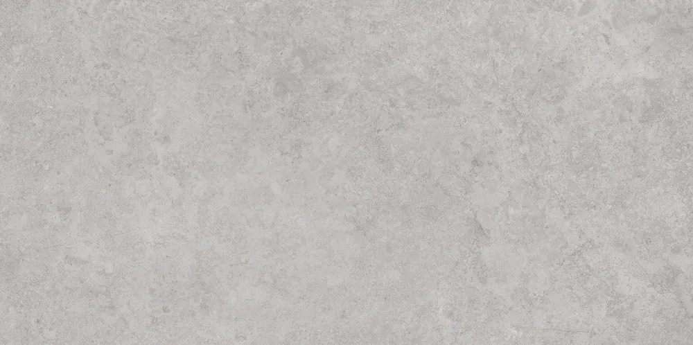 Silver Lappato 60x120 (1200x600)