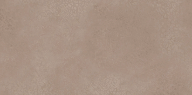 AVS Avanti Brown Grain 600x1200