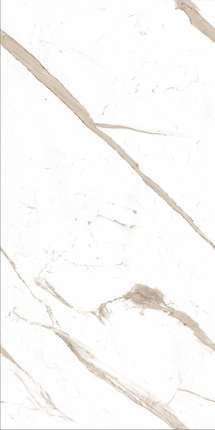 AVS Calacatta Marble  60x120