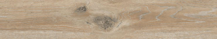 Absolut Gres Almond Wood Beige 120x20