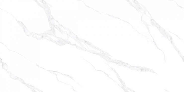 Absolut Gres Carrara Bianco Standart 120x60 Full Lappato Gloss
