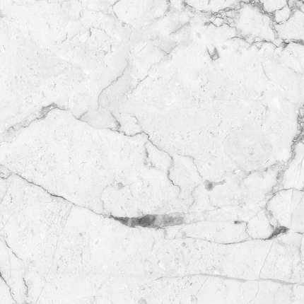 Absolut Gres Carrara White Matt 60x60