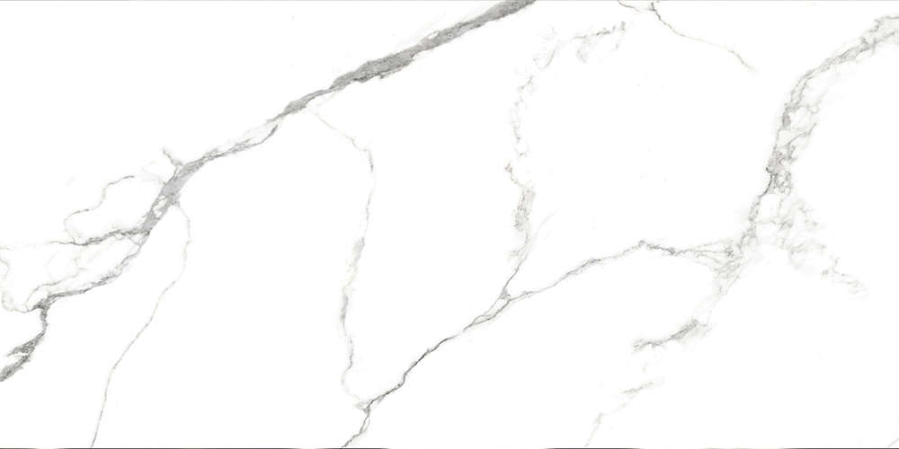 Absolut Gres Statiario Titan Gloss 120x60 -5