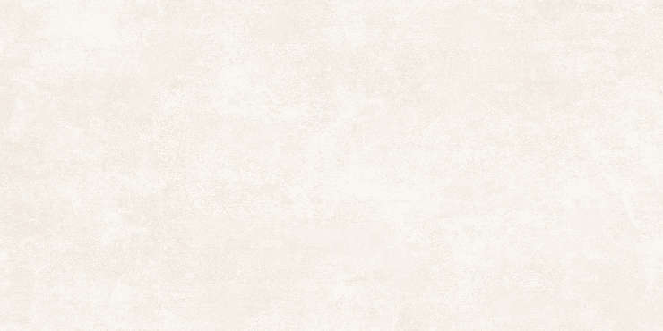 Alma Ceramica Beton Pro 04R  60x120
