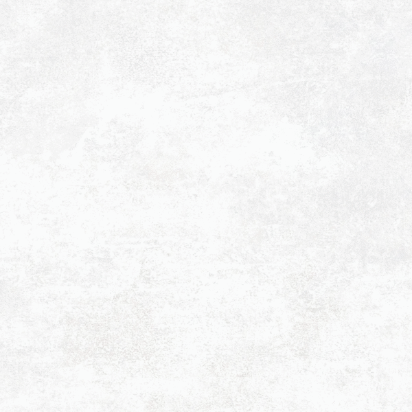Alma Ceramica Beton Pro 00R   60x60 -2
