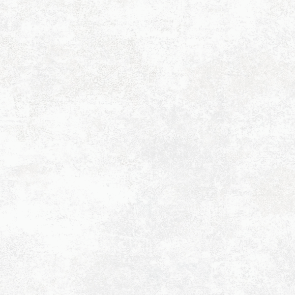 Alma Ceramica Beton Pro 00R   60x60 -4