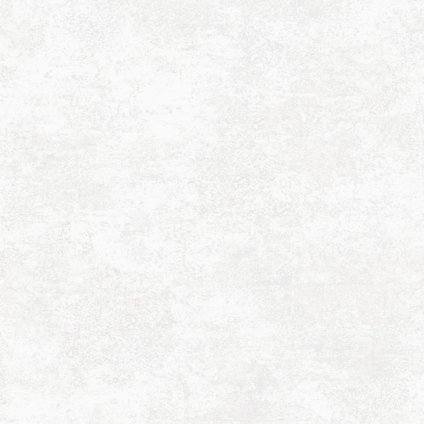 Alma Ceramica Beton Pro 00R   60x60 -6