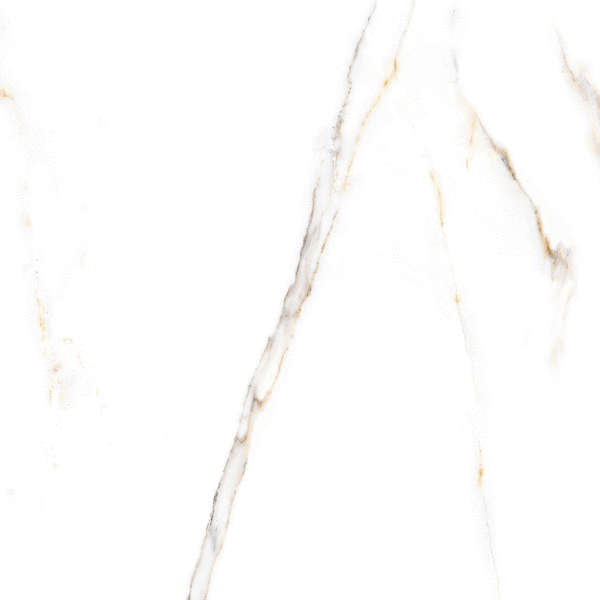 Alma Ceramica Extra Calacatta 04R  60x60 -5