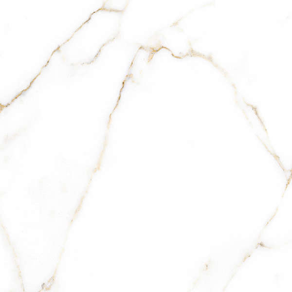 Alma Ceramica Extra Calacatta 04R  60x60 -13