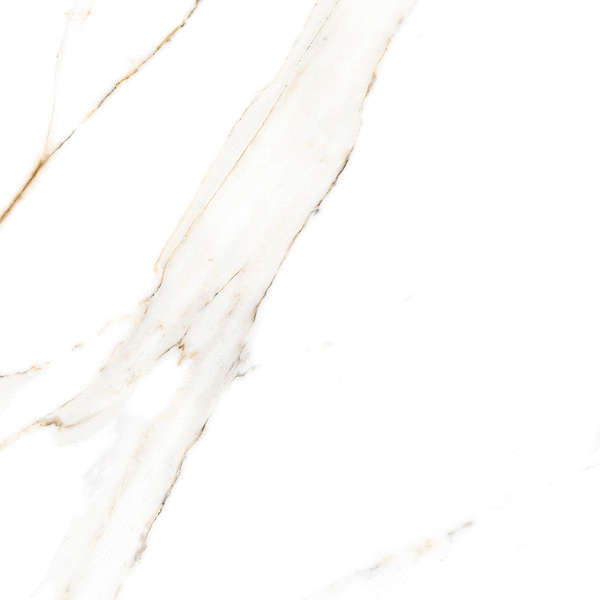 Alma Ceramica Extra Calacatta 04R  60x60 -16