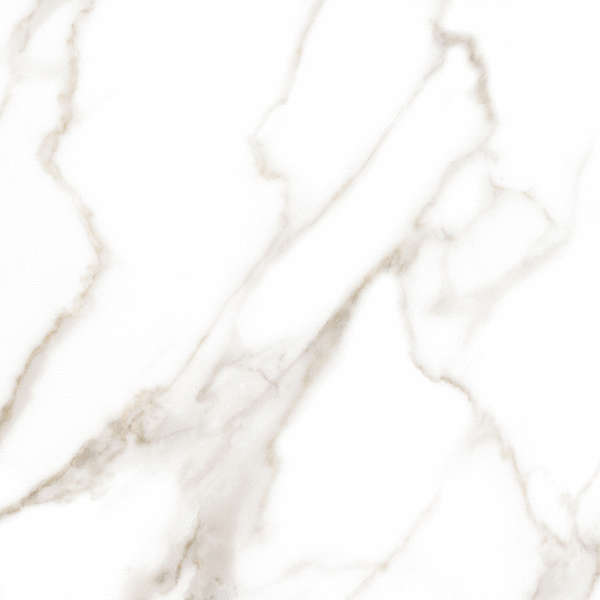 Alma Ceramica Granada 04R  60x60 -8