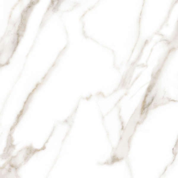 Alma Ceramica Granada 04R  60x60 -11