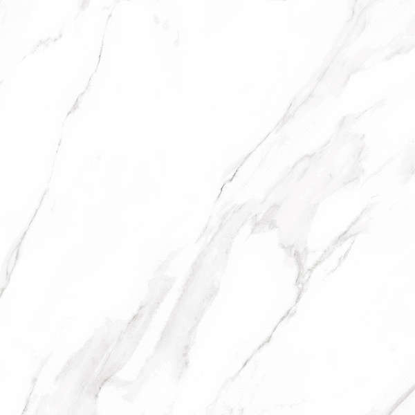 Alma Ceramica Nevada  07L 60x60 -2