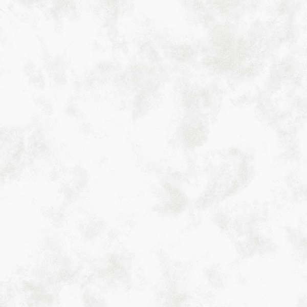 Alma Ceramica Soul 00R  60x60 -9