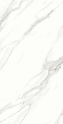 Alpas Premium Marble Calacatta Vero Satin 60x120