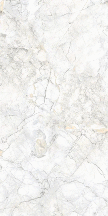 Alvento Ceramica Ducati Bianco Carving 60x120