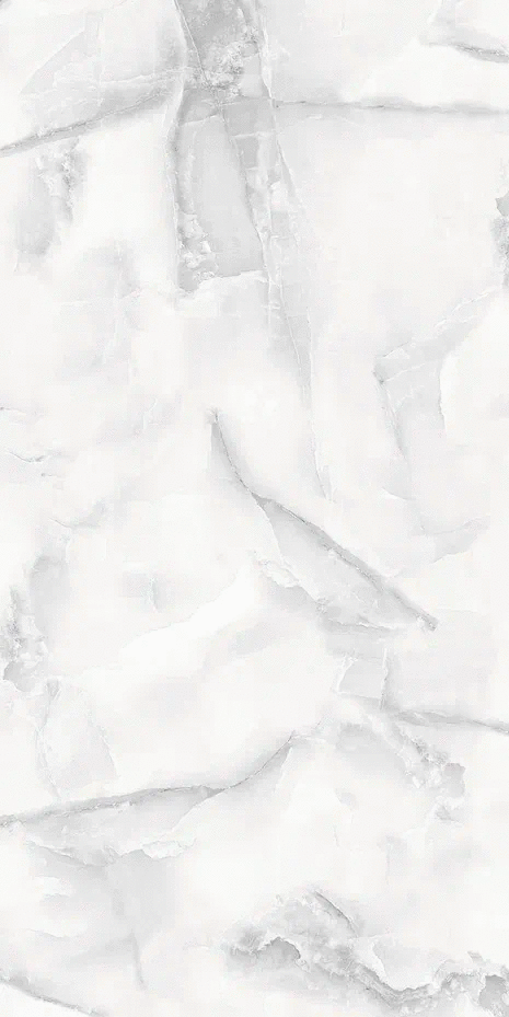 Light Grey Polished 60x120 (600x1200)