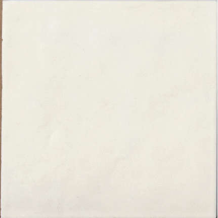 Ape Contemporary Coconut Milk 15x15