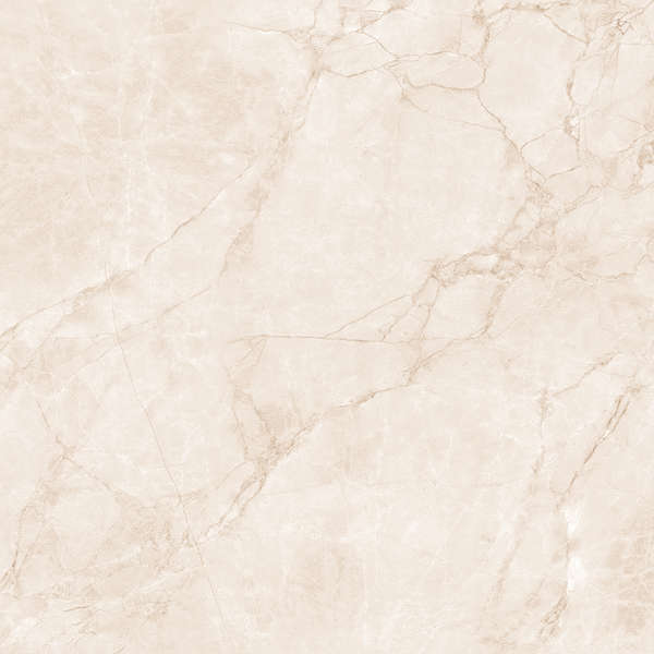 Arcadia Ceramica Arctic Pearl Carving 60x60 -2