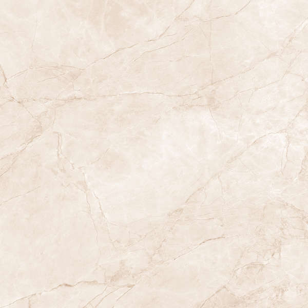 Arcadia Ceramica Arctic Pearl Carving 60x60 -3