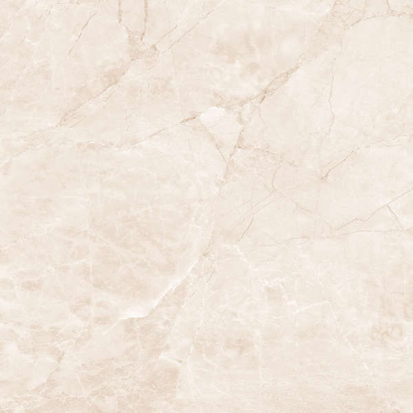 Arcadia Ceramica Arctic Pearl Carving 60x60 -4
