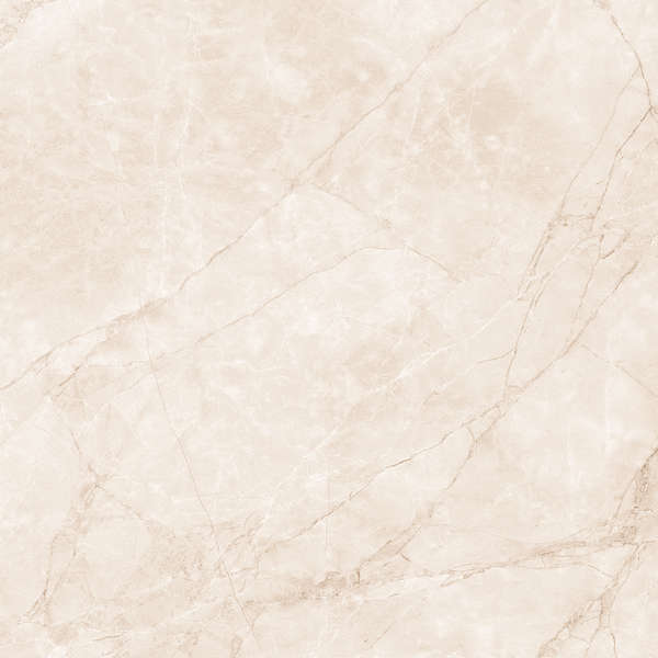 Arcadia Ceramica Arctic Pearl Carving 60x60 -5