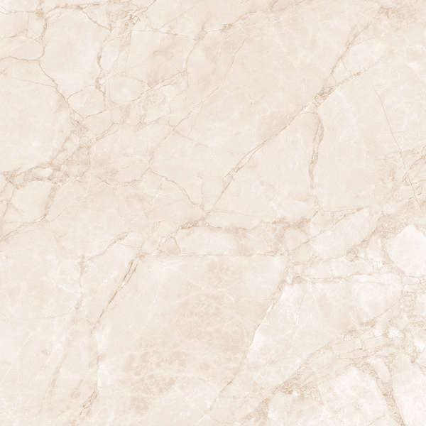 Arcadia Ceramica Arctic Pearl Carving 60x60 -6