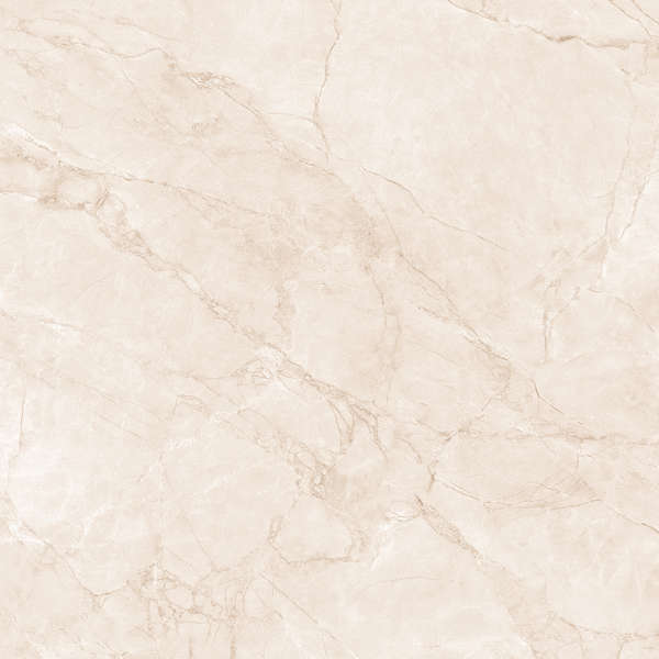Arcadia Ceramica Arctic Pearl Carving 60x60 -8