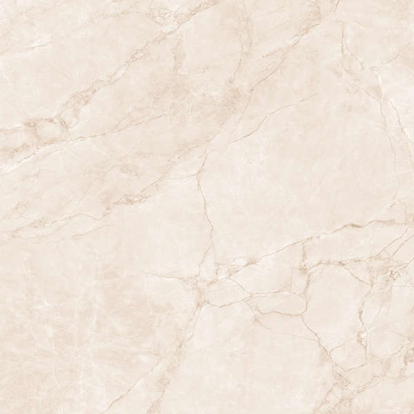 Arcadia Ceramica Arctic Pearl Carving 60x60 -9