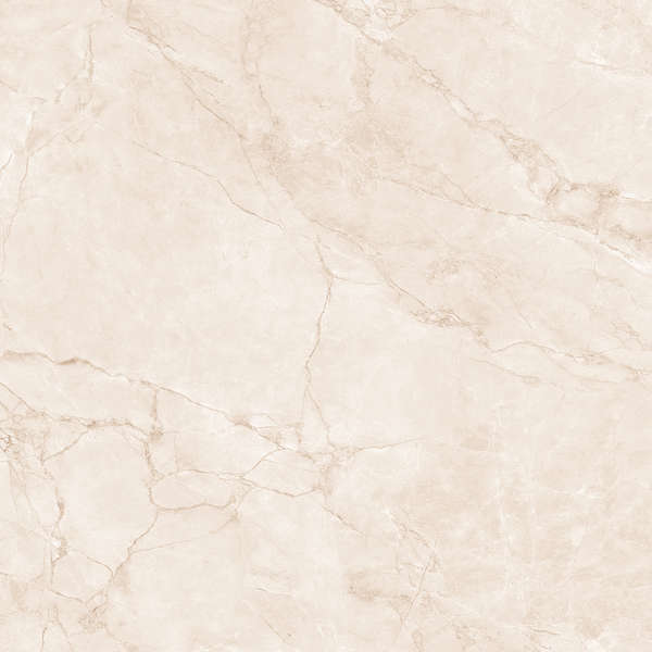 Arcadia Ceramica Arctic Pearl Carving 60x60 -10