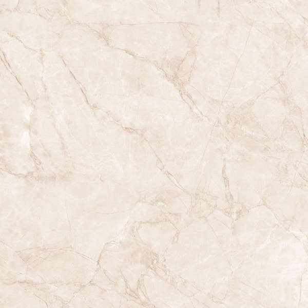 Arcadia Ceramica Arctic Pearl Carving 60x60 -11